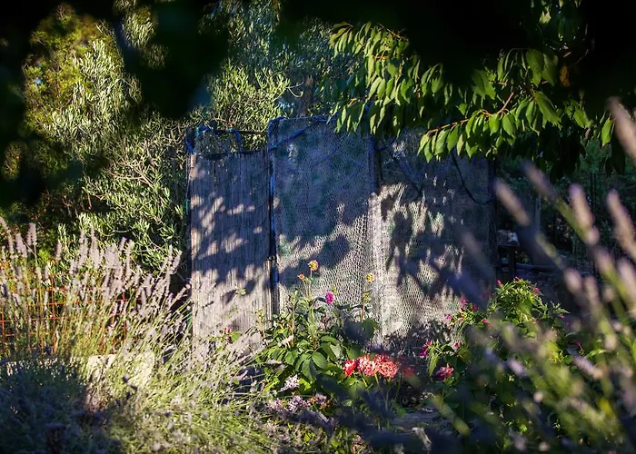 Διαμέρισμα Pol Murvu Βις