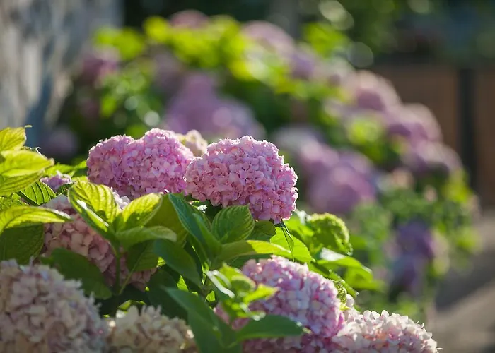 Διαμέρισμα Pol Murvu *